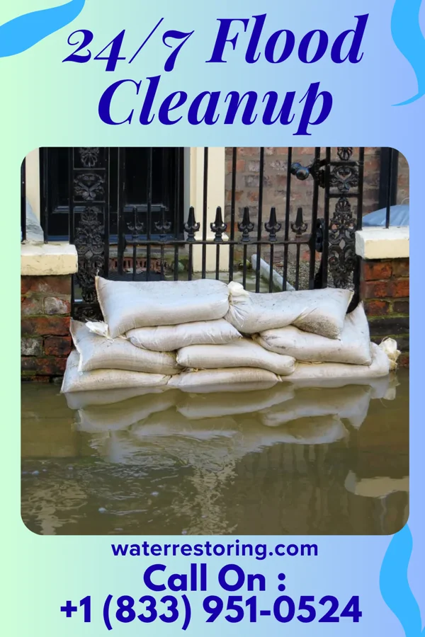 24/7 Flood Cleanup in Rancho Banquete, TX