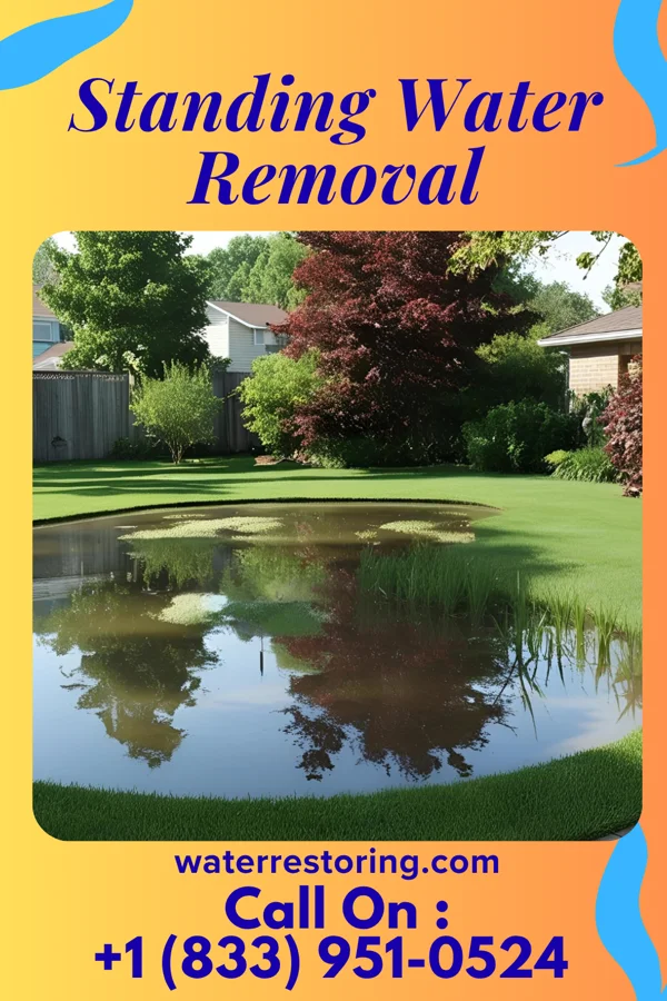 Standing Water Removal in Rancho Banquete, TX